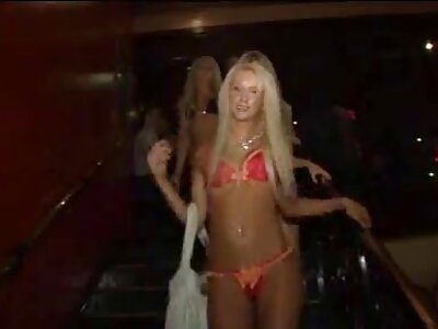 Durante la gangbang, bellissime sborrate inondano i volti delle puttane di mature porche video sperma.